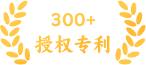 300余件授权专利